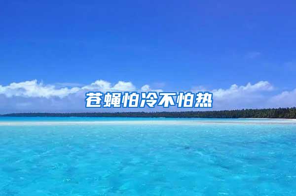 蒼蠅怕冷不怕熱