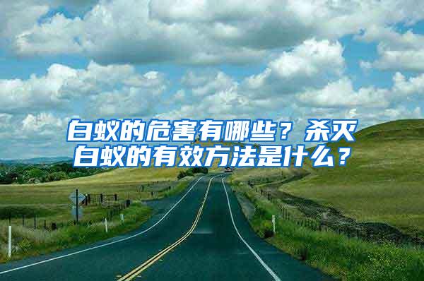白蟻的危害有哪些？殺滅白蟻的有效方法是什么？