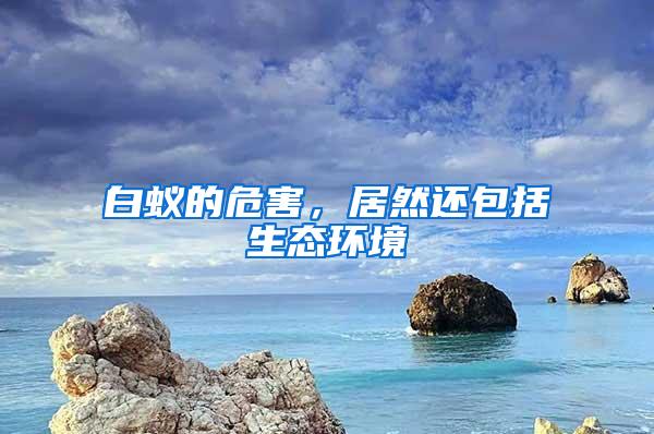 白蟻的危害，居然還包括生態(tài)環(huán)境