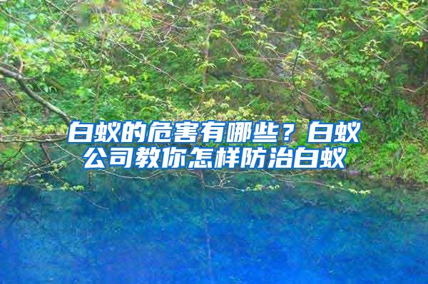 白蟻的危害有哪些？白蟻公司教你怎樣防治白蟻