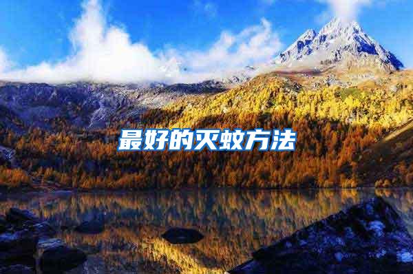 最好的滅蚊方法