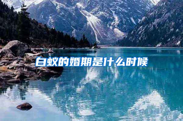 白蟻的婚期是什么時(shí)候