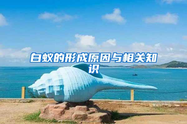 白蟻的形成原因與相關(guān)知識