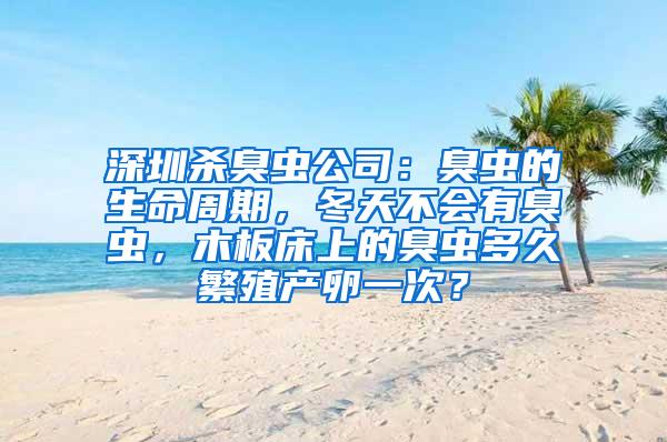 深圳殺臭蟲公司：臭蟲的生命周期，冬天不會有臭蟲，木板床上的臭蟲多久繁殖產卵一次？