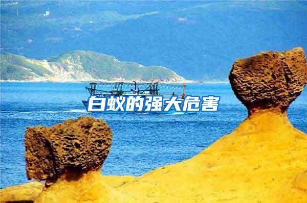 白蟻的強大危害