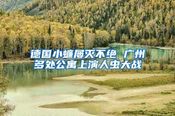 德國小蠊屢滅不絕 廣州多處公寓上演人蟲大戰(zhàn)