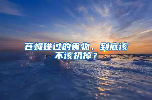 蒼蠅碰過的食物，到底該不該扔掉？
