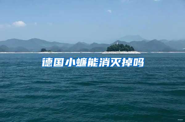 德國(guó)小蠊能消滅掉嗎