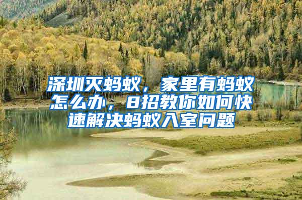 深圳滅螞蟻，家里有螞蟻怎么辦，8招教你如何快速解決螞蟻入室問(wèn)題