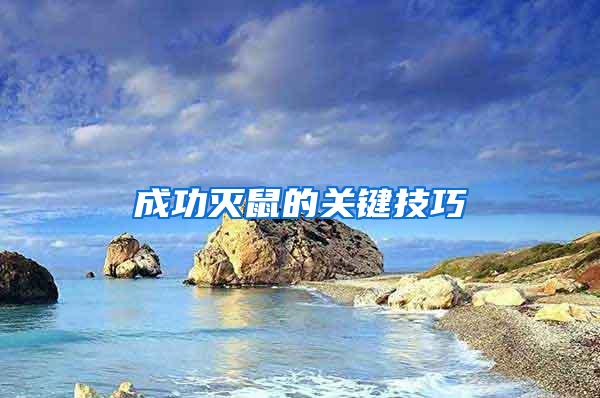 成功滅鼠的關(guān)鍵技巧