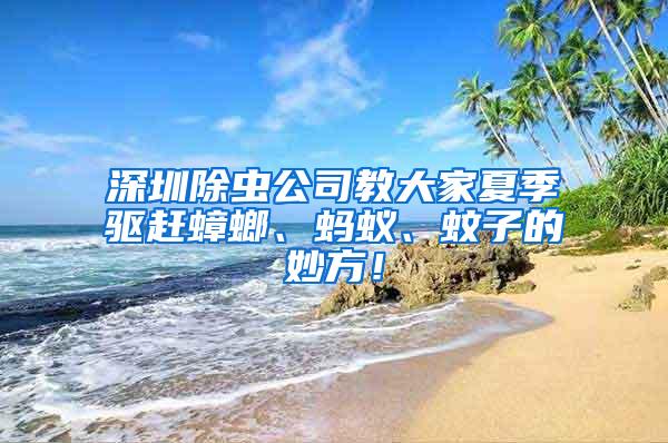 深圳除蟲公司教大家夏季驅(qū)趕蟑螂、螞蟻、蚊子的妙方！