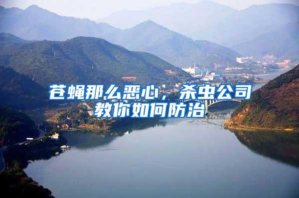 蒼蠅那么惡心，殺蟲公司教你如何防治
