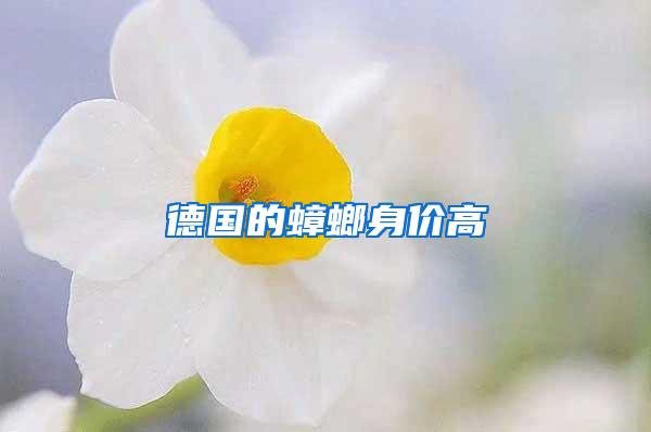 德國(guó)的蟑螂身價(jià)高