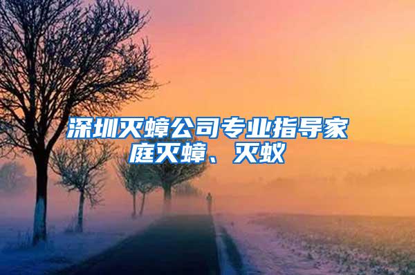 深圳滅蟑公司專業指導家庭滅蟑、滅蟻