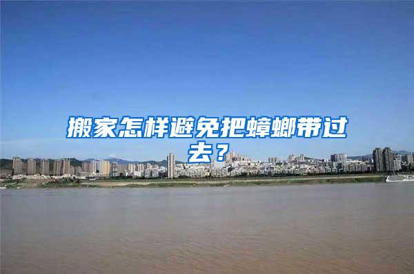 搬家怎樣避免把蟑螂帶過去？