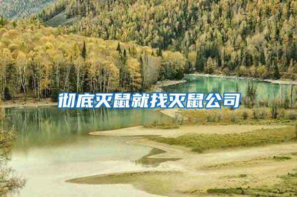 徹底滅鼠就找滅鼠公司
