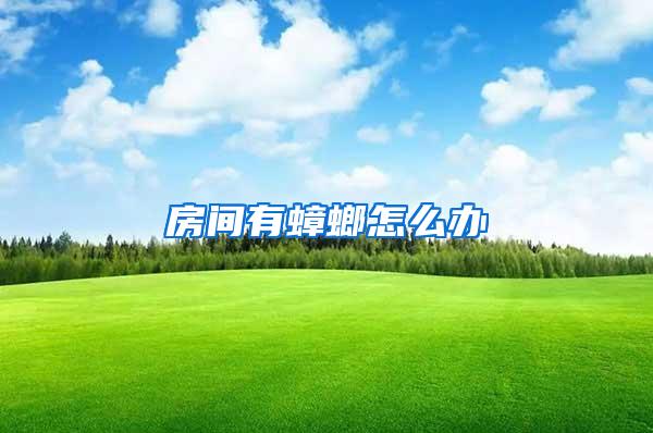房間有蟑螂怎么辦