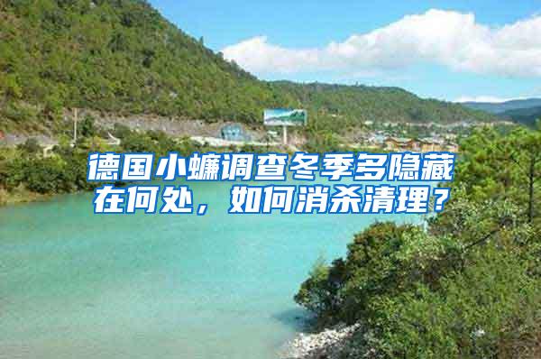 德國小蠊調查冬季多隱藏在何處，如何消殺清理？