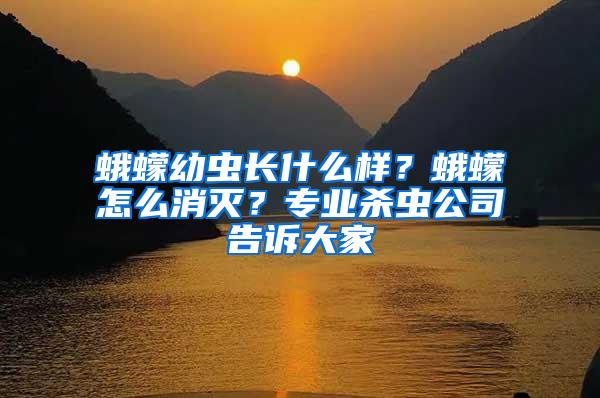 蛾蠓幼蟲(chóng)長(zhǎng)什么樣？蛾蠓怎么消滅？專業(yè)殺蟲(chóng)公司告訴大家
