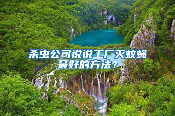 殺蟲公司說說工廠滅蚊蠅最好的方法？