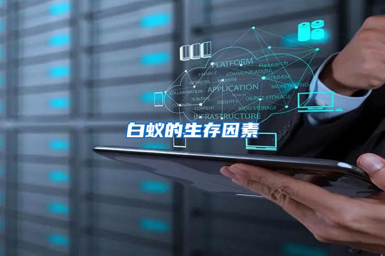 白蟻的生存因素