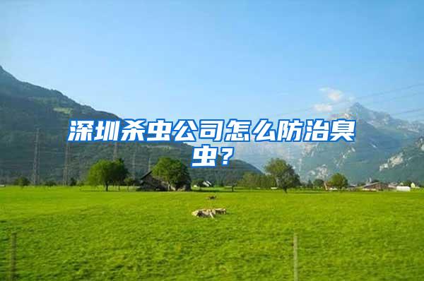 深圳殺蟲公司怎么防治臭蟲？