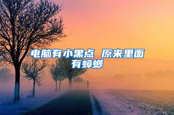 電腦有小黑點(diǎn) 原來里面有蟑螂