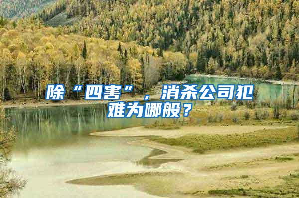 除“四害”，消殺公司犯難為哪般？