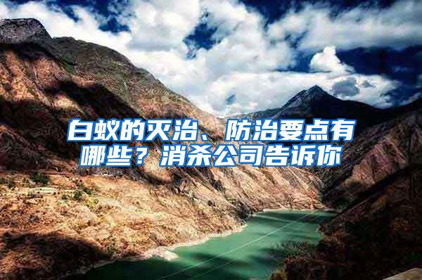 白蟻的滅治、防治要點(diǎn)有哪些？消殺公司告訴你