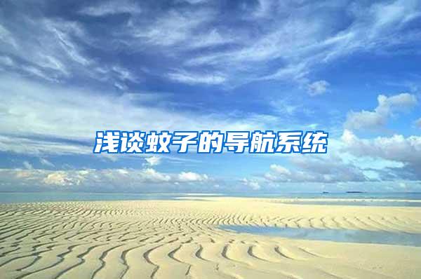 淺談蚊子的導(dǎo)航系統(tǒng)