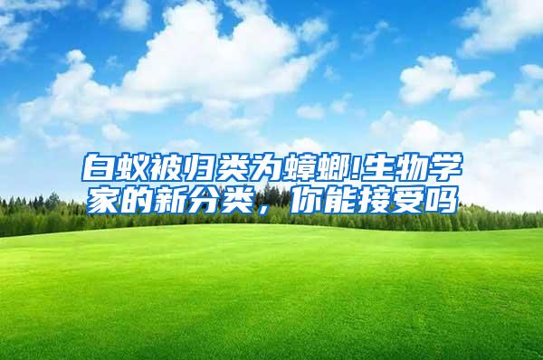 白蟻被歸類為蟑螂!生物學(xué)家的新分類，你能接受嗎