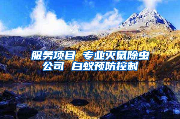 服務(wù)項(xiàng)目 專業(yè)滅鼠除蟲公司 白蟻預(yù)防控制