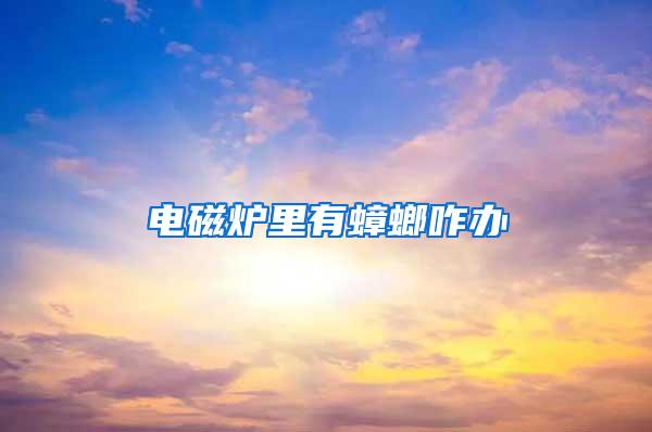 電磁爐里有蟑螂咋辦