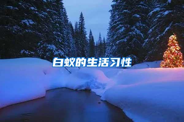 白蟻的生活習性