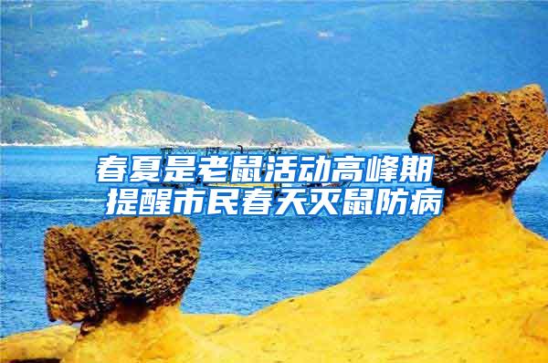 春夏是老鼠活動高峰期 提醒市民春天滅鼠防病