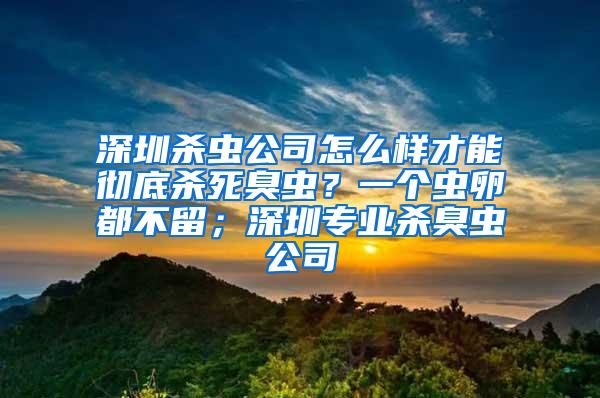 深圳殺蟲公司怎么樣才能徹底殺死臭蟲？一個蟲卵都不留；深圳專業(yè)殺臭蟲公司