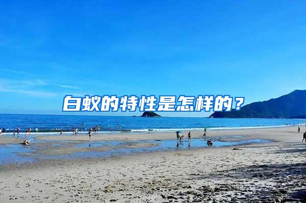 白蟻的特性是怎樣的？