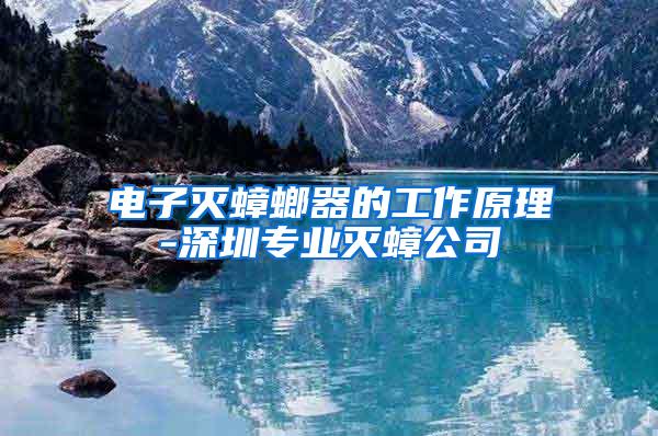 電子滅蟑螂器的工作原理-深圳專業滅蟑公司