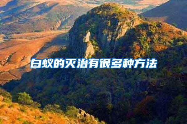 白蟻的滅治有很多種方法