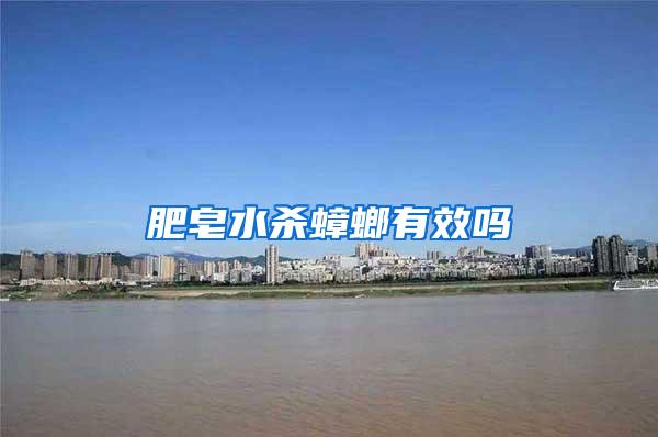 肥皂水殺蟑螂有效嗎