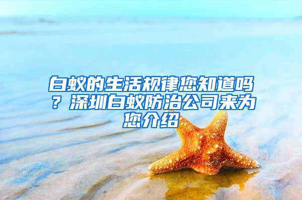 白蟻的生活規律您知道嗎？深圳白蟻防治公司來為您介紹