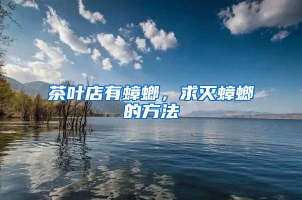 茶葉店有蟑螂，求滅蟑螂的方法