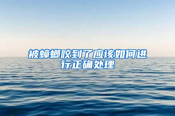 被蟑螂咬到了應(yīng)該如何進(jìn)行正確處理