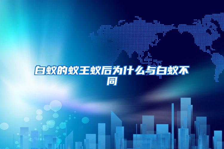 白蟻的蟻王蟻后為什么與白蟻不同