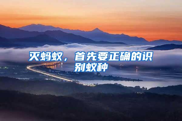 滅螞蟻，首先要正確的識(shí)別蟻種