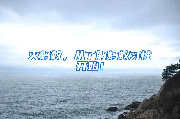 滅螞蟻，從了解螞蟻習性開始！
