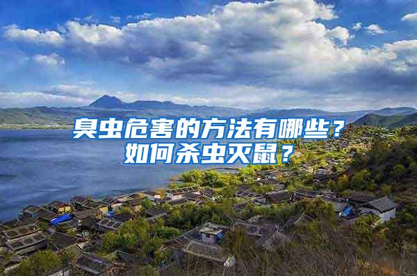 臭蟲危害的方法有哪些？如何殺蟲滅鼠？