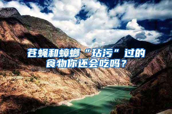 蒼蠅和蟑螂“玷污”過的食物你還會吃嗎？