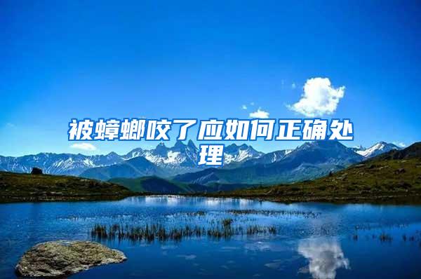 被蟑螂咬了應如何正確處理