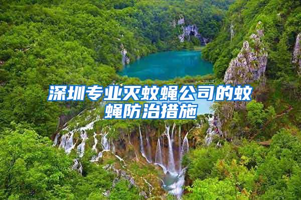 深圳專業(yè)滅蚊蠅公司的蚊蠅防治措施
